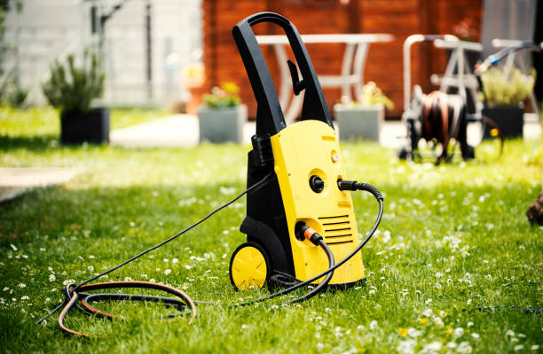 Best Pre-Holiday Cleaning  in Rock Valley, IA